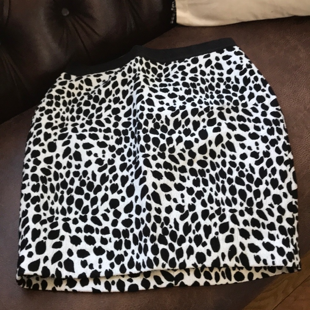 Ann Taylor skirt